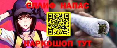 Альфа ПВП Будённовск