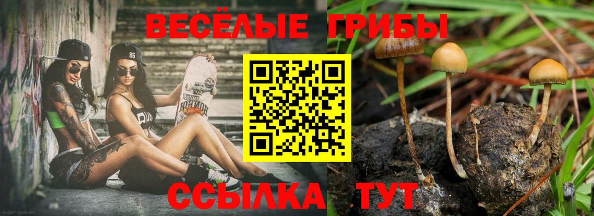 купить   Псилоцибиновые грибы мухоморы  Урус-Мартан  Вход с VPN  Галлюциногенные грибы Psilocybe 